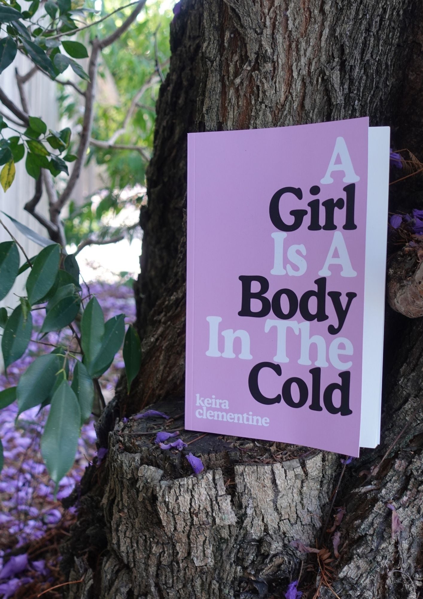 A Girl Is A Body In The Cold