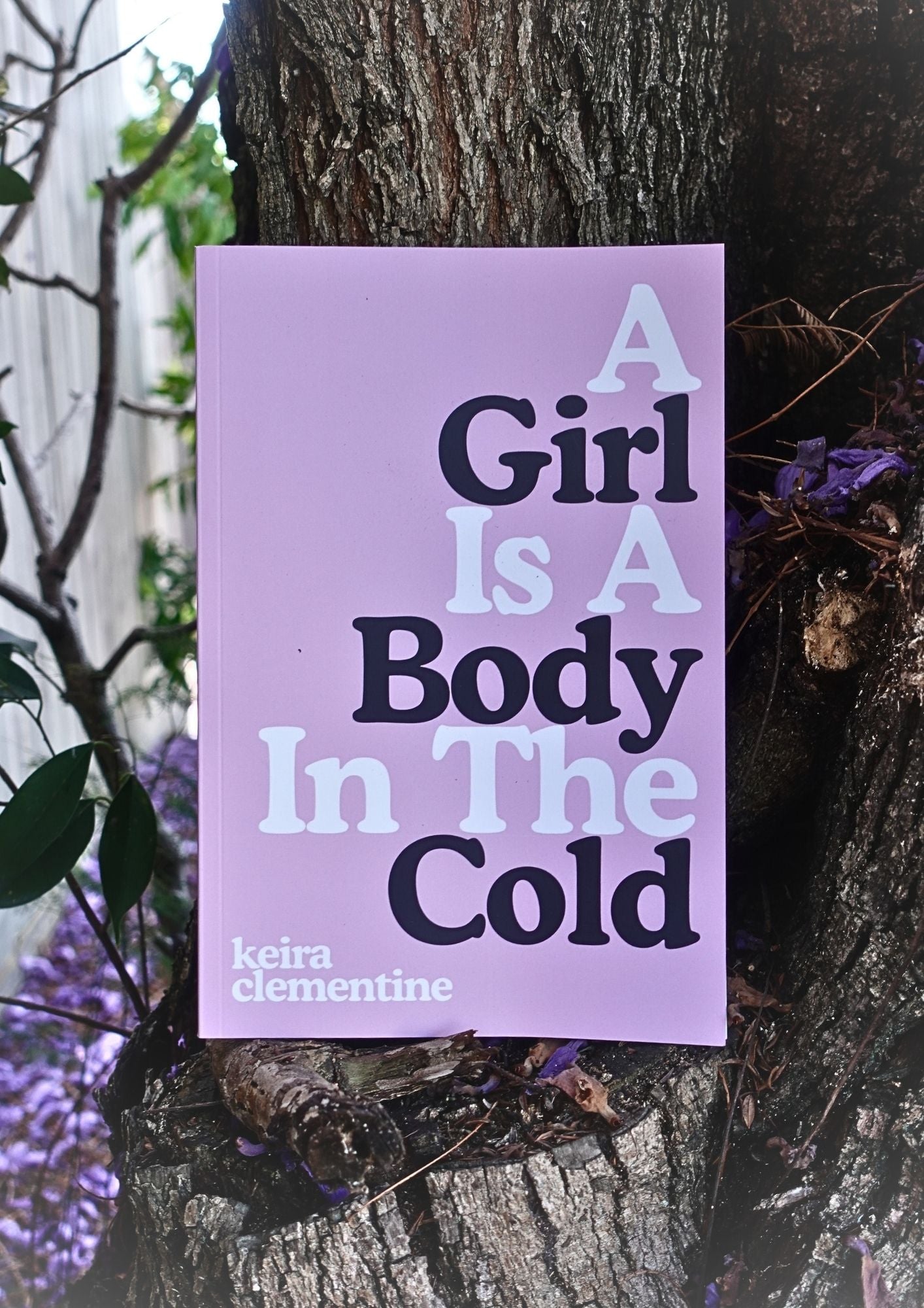 A Girl Is A Body In The Cold