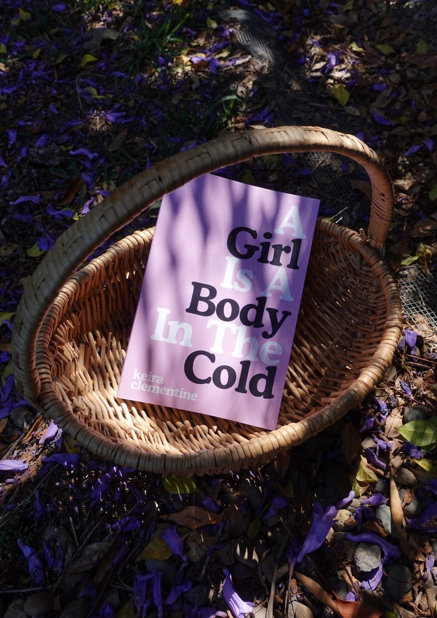 A Girl Is A Body In The Cold